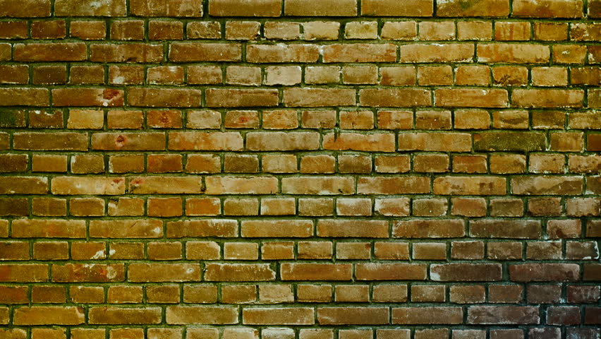 a wall of old, yellowed bricks